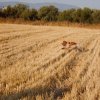 Αγωνες Α.Κ.Ι 18/6/2017